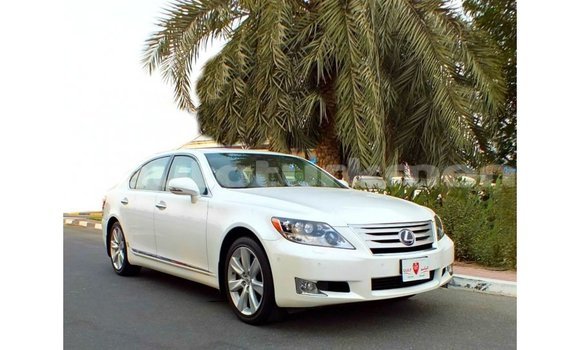 Buy Import Lexus LS White Car in Import - Dubai in Ahal