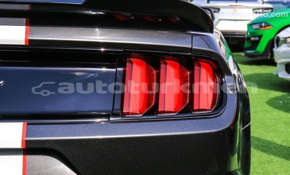 Buy Import Ford Mustang Other Car in Import - Dubai in Ahal Buy Import Ford Mustang Other Car in Import - Dubai in Ahal
