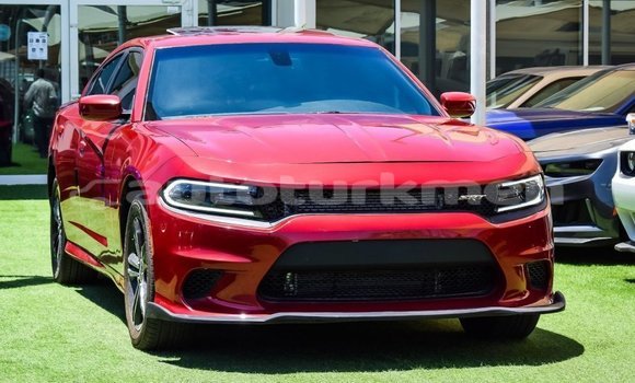 Buy Import Dodge Charger Red Car in Import - Dubai in Ahal