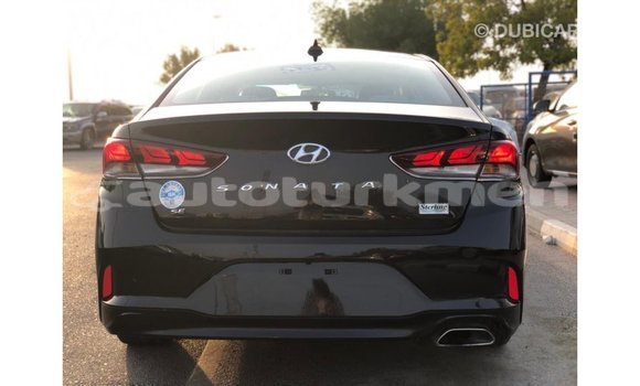 Buy Import Hyundai Sonata Black Car in Import - Dubai in Ahal Buy Import Hyundai Sonata Black Car in Import - Dubai in Ahal