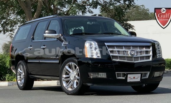 Buy Import Cadillac Escalade Black Car in Import - Dubai in Ahal
