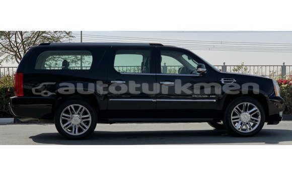 Buy Import Cadillac Escalade Black Car in Import - Dubai in Ahal Buy Import Cadillac Escalade Black Car in Import - Dubai in Ahal