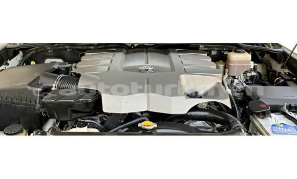 Buy Import Toyota Land Cruiser White Car in Import - Dubai in Ahal Buy Import Toyota Land Cruiser White Car in Import - Dubai in Ahal