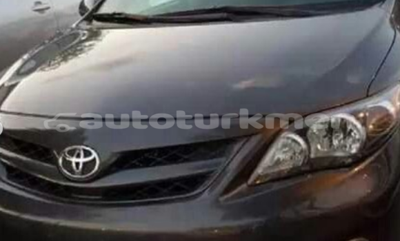 Buy Used Toyota Corolla Other Car in Asgabat in Asgabat