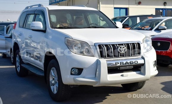 Buy Import Toyota Prado White Car in Import - Dubai in Ahal Buy Import Toyota Prado White Car in Import - Dubai in Ahal