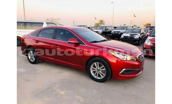 Buy Import Hyundai Sonata Red Car in Import - Dubai in Ahal Buy Import Hyundai Sonata Red Car in Import - Dubai in Ahal