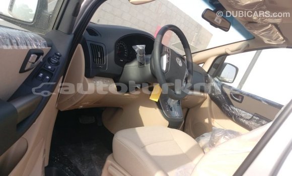 Buy Import Hyundai Chorus Brown Truck in Import - Dubai in Ahal Buy Import Hyundai Chorus Brown Truck in Import - Dubai in Ahal