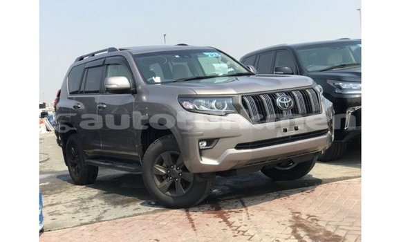 Buy Import Toyota Prado Brown Car in Import - Dubai in Ahal