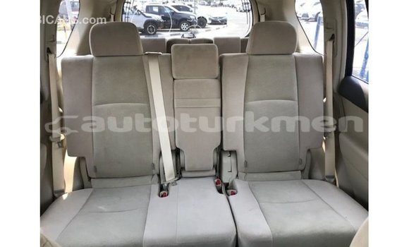Buy Import Toyota Prado Brown Car in Import - Dubai in Ahal Buy Import Toyota Prado Brown Car in Import - Dubai in Ahal