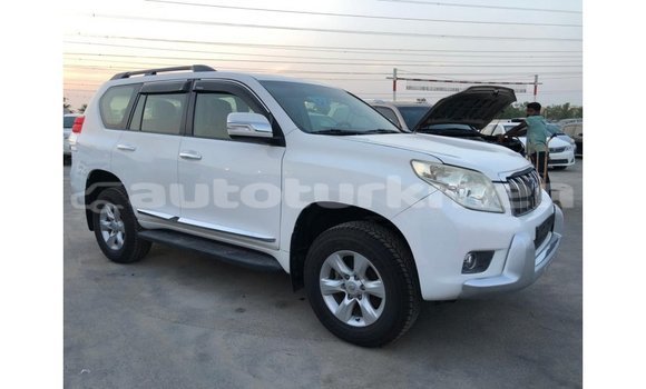 Buy Import Toyota Prado White Car in Import - Dubai in Ahal Buy Import Toyota Prado White Car in Import - Dubai in Ahal