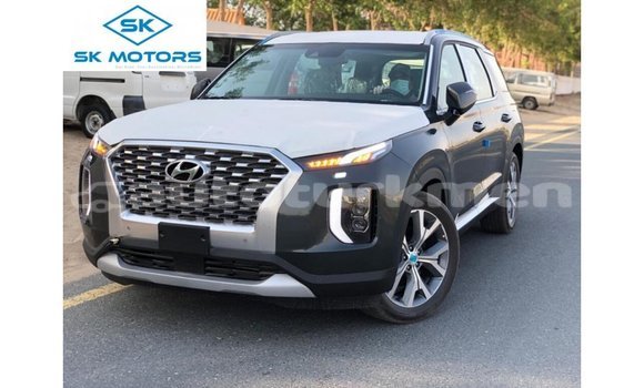 Buy Import Hyundai Chorus Other Truck in Import - Dubai in Ahal