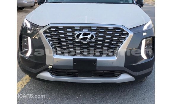 Buy Import Hyundai Chorus Other Truck in Import - Dubai in Ahal Buy Import Hyundai Chorus Other Truck in Import - Dubai in Ahal