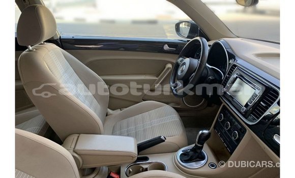 Buy Import Volkswagen Beetle Black Car in Import - Dubai in Ahal Buy Import Volkswagen Beetle Black Car in Import - Dubai in Ahal