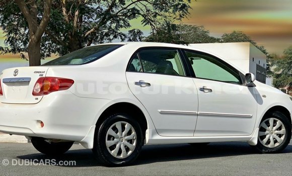 Buy Import Toyota Corolla White Car in Import - Dubai in Ahal Buy Import Toyota Corolla White Car in Import - Dubai in Ahal