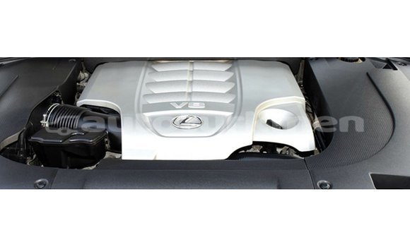 Buy Import Lexus LX White Car in Import - Dubai in Ahal Buy Import Lexus LX White Car in Import - Dubai in Ahal