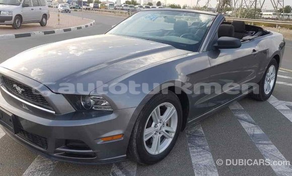 Buy Import Ford Mustang Other Car in Import - Dubai in Ahal Buy Import Ford Mustang Other Car in Import - Dubai in Ahal