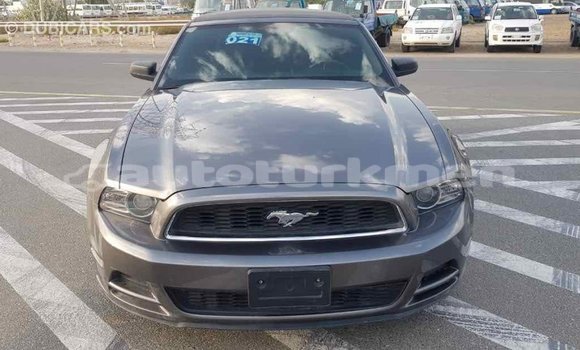 Buy Import Ford Mustang Other Car in Import - Dubai in Ahal Buy Import Ford Mustang Other Car in Import - Dubai in Ahal