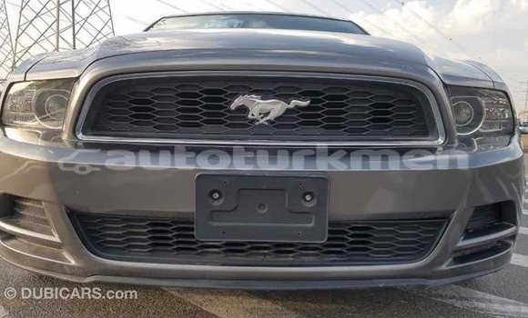 Buy Import Ford Mustang Other Car in Import - Dubai in Ahal Buy Import Ford Mustang Other Car in Import - Dubai in Ahal