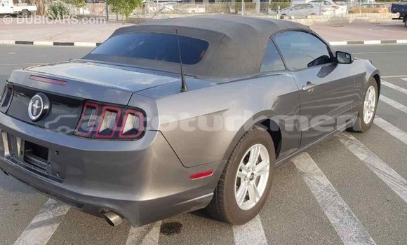 Buy Import Ford Mustang Other Car in Import - Dubai in Ahal Buy Import Ford Mustang Other Car in Import - Dubai in Ahal