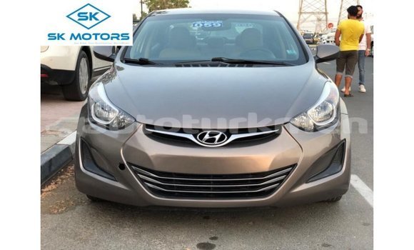 Buy Import Hyundai Elantra Brown Car in Import - Dubai in Ahal