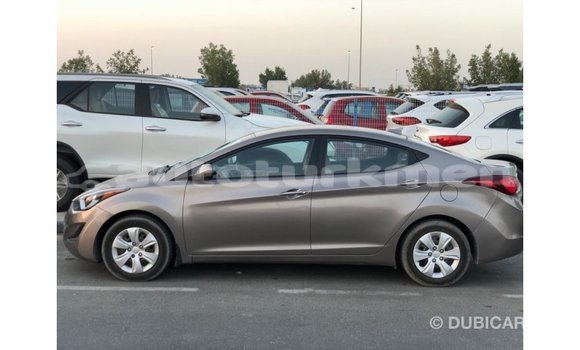 Buy Import Hyundai Elantra Brown Car in Import - Dubai in Ahal Buy Import Hyundai Elantra Brown Car in Import - Dubai in Ahal