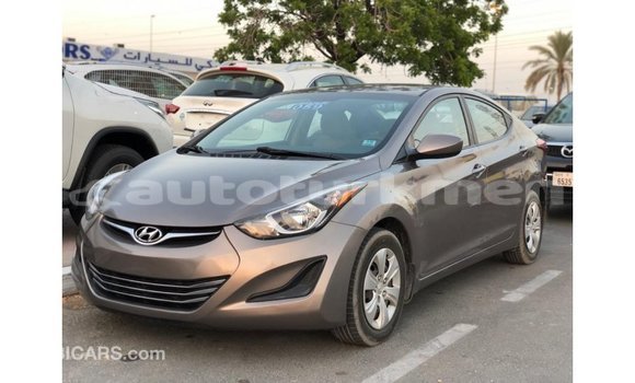 Buy Import Hyundai Elantra Brown Car in Import - Dubai in Ahal Buy Import Hyundai Elantra Brown Car in Import - Dubai in Ahal