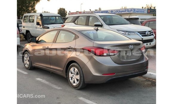 Buy Import Hyundai Elantra Brown Car in Import - Dubai in Ahal Buy Import Hyundai Elantra Brown Car in Import - Dubai in Ahal