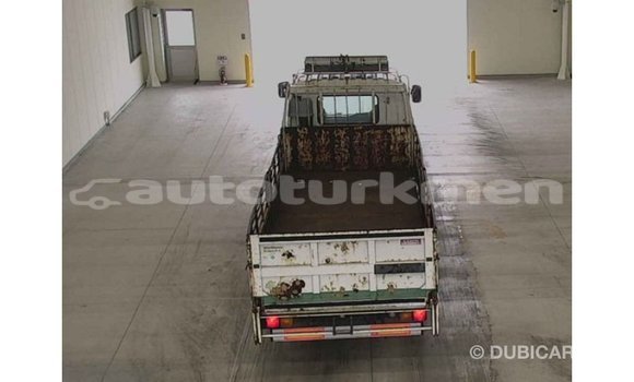 Buy Import Isuzu FTR 850 White Truck in Import - Dubai in Ahal Buy Import Isuzu FTR 850 White Truck in Import - Dubai in Ahal