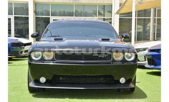 Buy Import Dodge Challenger Black Car in Import - Dubai in Ahal
