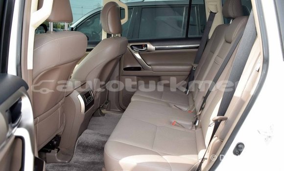 Buy Import Lexus GX White Car in Import - Dubai in Ahal Buy Import Lexus GX White Car in Import - Dubai in Ahal