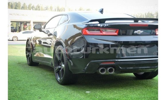 Buy Import Chevrolet Camaro Black Car in Import - Dubai in Ahal Buy Import Chevrolet Camaro Black Car in Import - Dubai in Ahal