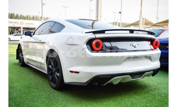Buy Import Ford Mustang White Car in Import - Dubai in Ahal Buy Import Ford Mustang White Car in Import - Dubai in Ahal