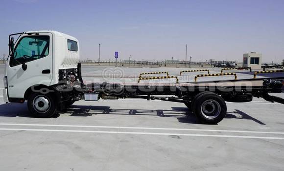 Buy New Hino 300 Series White Truck in Asgabat in Asgabat Buy New Hino 300 Series White Truck in Asgabat in Asgabat