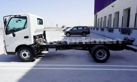Buy New Hino 300 Series White Truck in Asgabat in Asgabat Buy New Hino 300 Series White Truck in Asgabat in Asgabat