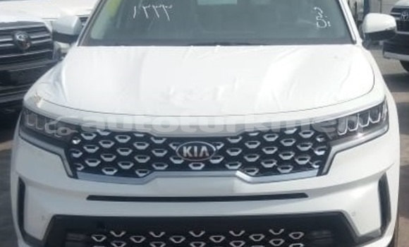 Buy Used Kia Sorento White Car in Import - Dubai in Ahal Buy Used Kia Sorento White Car in Import - Dubai in Ahal
