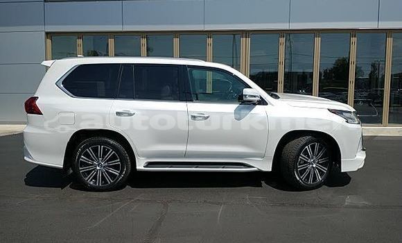 Buy Used Lexus LX 570 White Car in Adyndaky in Balkan