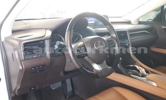 Buy Used Lexus RX 350 White Car in Babadayhan in Ahal Buy Used Lexus RX 350 White Car in Babadayhan in Ahal