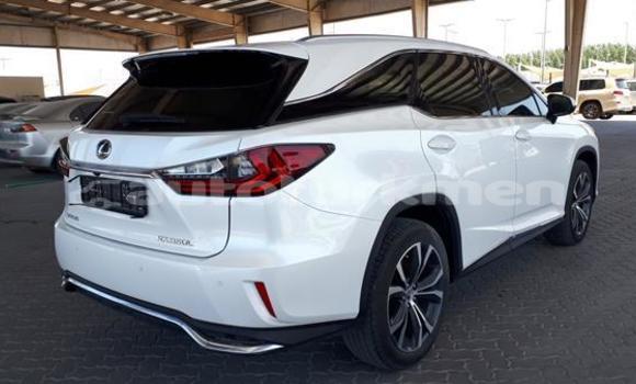 Buy Used Lexus RX 350 White Car in Babadayhan in Ahal Buy Used Lexus RX 350 White Car in Babadayhan in Ahal