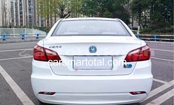 Buy Import Changan Eado White Car in Asgabat in Asgabat Buy Import Changan Eado White Car in Asgabat in Asgabat
