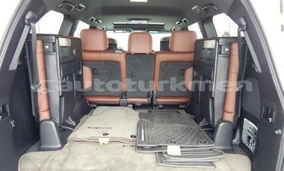 Buy Used Toyota Land Cruiser White Car in Asgabat in Asgabat Buy Used Toyota Land Cruiser White Car in Asgabat in Asgabat