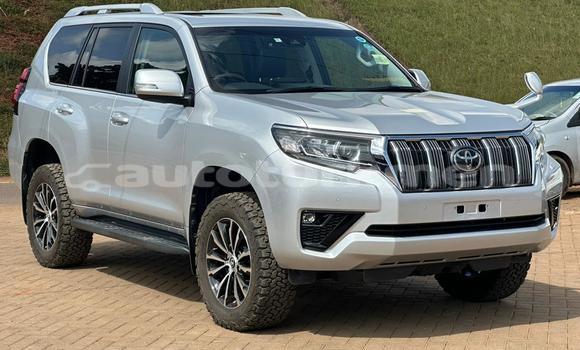 Buy Used Toyota Land Cruiser Prado White Car in Asgabat in Asgabat Buy Used Toyota Land Cruiser Prado White Car in Asgabat in Asgabat