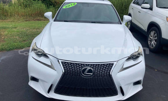 Buy Used Lexus IS White Car in Asgabat in Asgabat Buy Used Lexus IS White Car in Asgabat in Asgabat