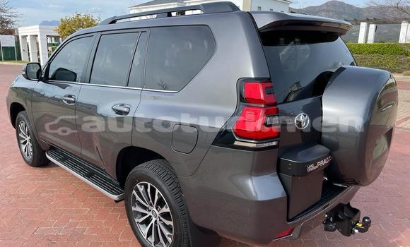 Buy Used Toyota Land Cruiser Prado Blue Car in Asgabat in Asgabat Buy Used Toyota Land Cruiser Prado Blue Car in Asgabat in Asgabat