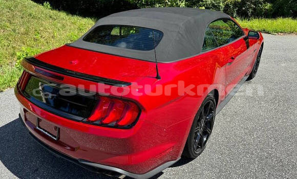Buy Used Ford Mustang Red Car in Asgabat in Asgabat Buy Used Ford Mustang Red Car in Asgabat in Asgabat