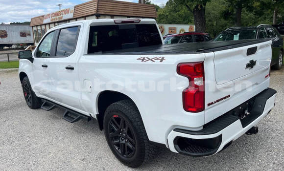 Buy Used Chevrolet Silverado White Car in Asgabat in Asgabat Buy Used Chevrolet Silverado White Car in Asgabat in Asgabat