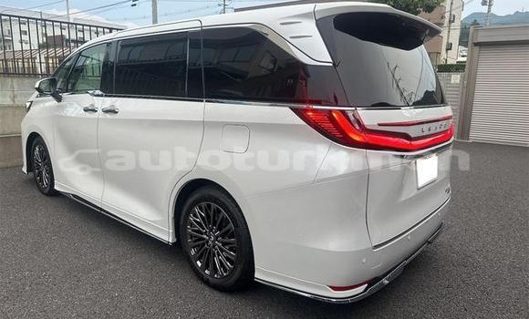 Buy Used Lexus LC White Car in Asgabat in Asgabat Buy Used Lexus LC White Car in Asgabat in Asgabat