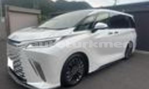 Buy Used Lexus LC White Car in Asgabat in Asgabat Buy Used Lexus LC White Car in Asgabat in Asgabat