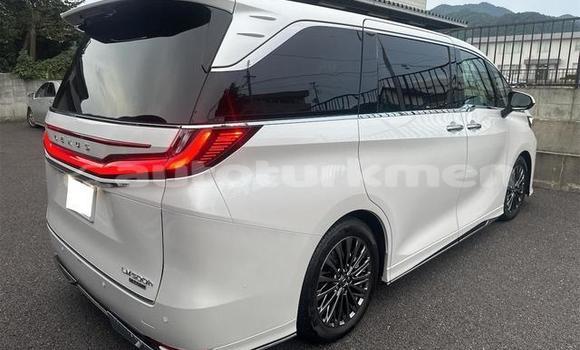 Buy Used Lexus LC White Car in Asgabat in Asgabat Buy Used Lexus LC White Car in Asgabat in Asgabat