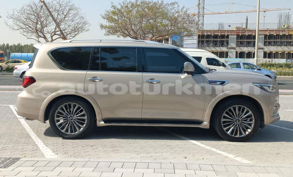 Buy Used Infiniti QX80 Other Car in Asgabat in Asgabat Buy Used Infiniti QX80 Other Car in Asgabat in Asgabat