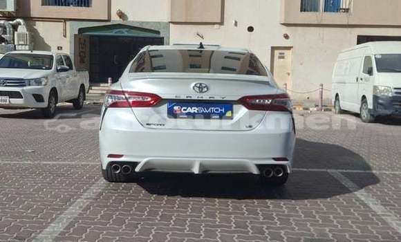 Buy Used Toyota Camry White Car in Dasoguz in Dasoguz Buy Used Toyota Camry White Car in Dasoguz in Dasoguz